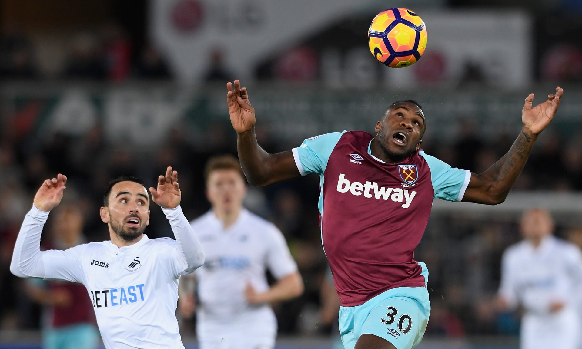 案例显示 案例显示