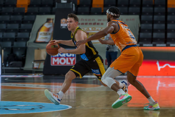 包括加维 包括加维